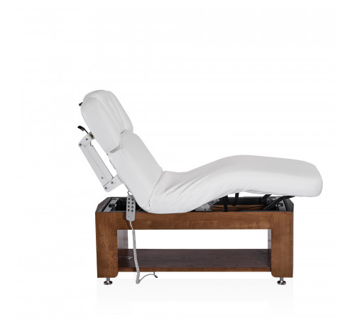 Электрический стационарный массажный стол Alexander A-Salon
