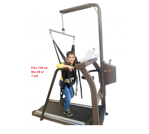 Беговая дорожка AMF 8612Z