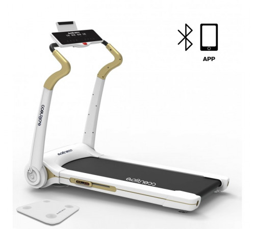 Беговая дорожка EVO FITNESS Cosmo 5