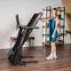 Беговая дорожка SVENSSON BODY LABS PHYSIOLINE SPRINTMASTER B