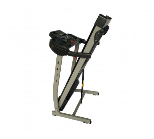 Беговая дорожка DFC LAVITA T350