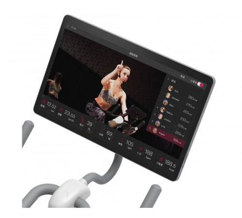 Велотренажер Yesoul BS3-W PRO PLUS